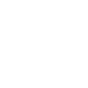 violin violin